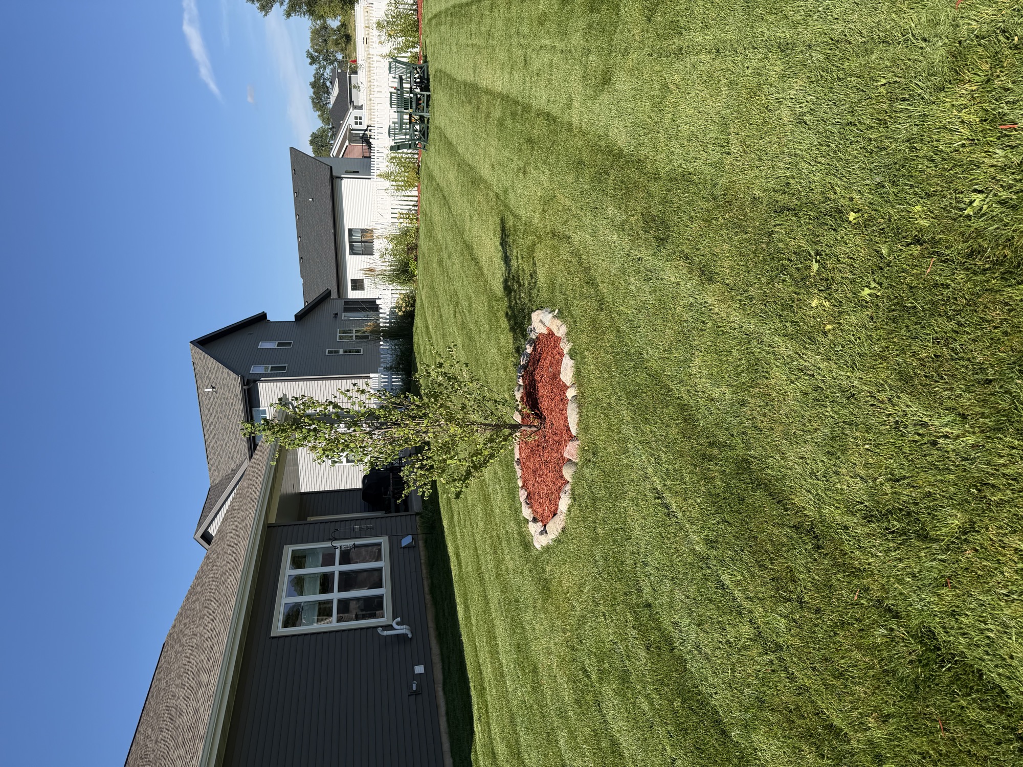 Mowing & trimming